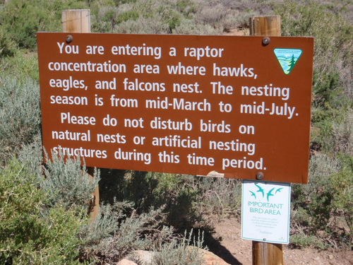 we are leaving a raptor area.